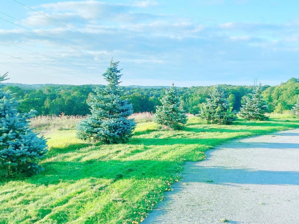 Large Estate 3 Bedroom Luxury Villa Кинг Сити Экстерьер фото